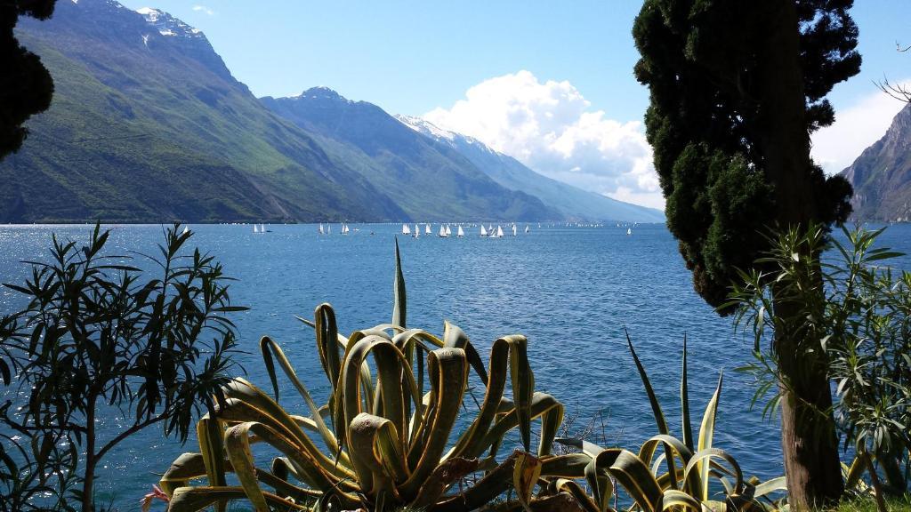 Hotel Angelini Torbole Sul Garda Esterno foto